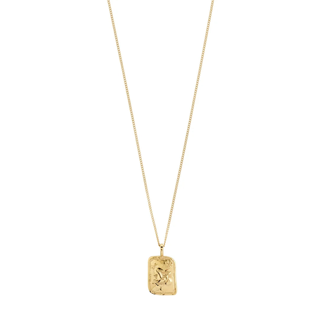 CAPRICORNUS Zodiac Sign necklace, gold-plated