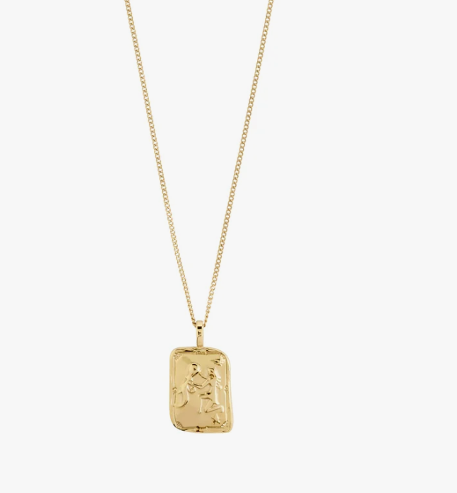 AQUARIUS Zodiac Sign necklace, gold-plated